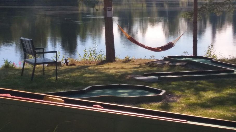 En ekorre står och funderar medan hängmattan vajar i brisen. En perfekt plats för stilla funderingar.