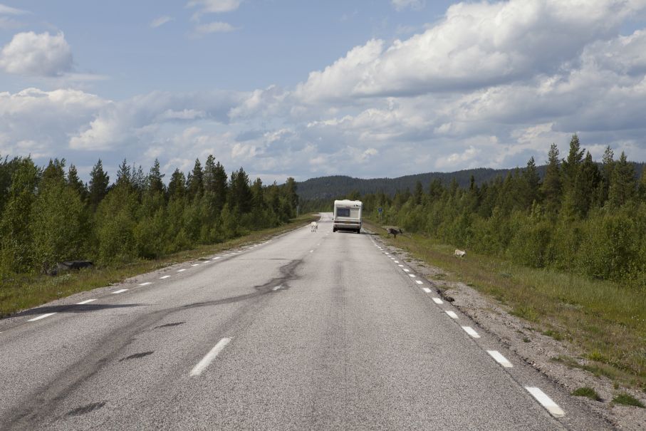 Vägarna norröver är långa och ofta har man vägen helt för sig själv.