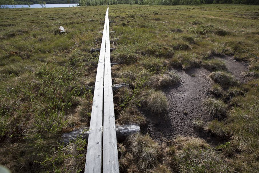 Ta en tur ut på fjället.